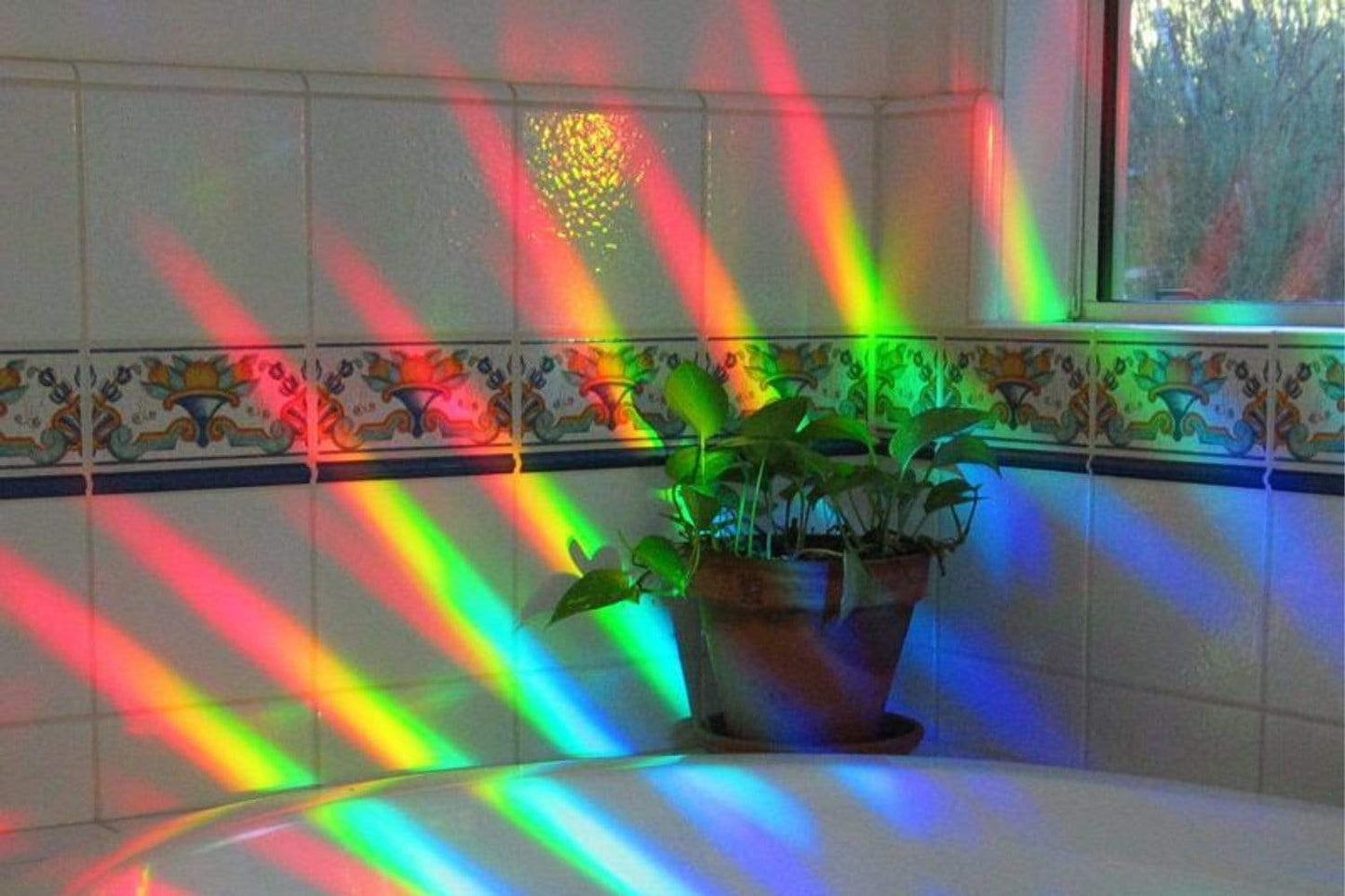 Arbor Scientific Rainbow Window