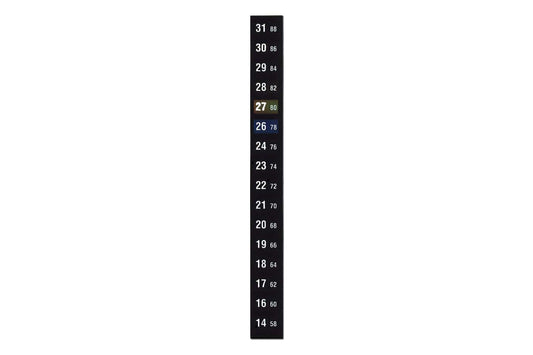 Arbor Scientific Strip Thermometer