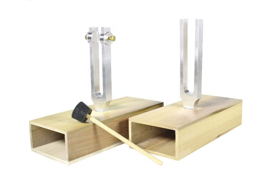 Arbor Scientific Sympathetic Tuning Fork Set