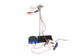 Arbor Scientific g by Free Fall