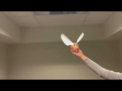 The Flying Pig in action