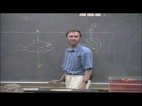 Conceptual Physics Alive: Liquids 2