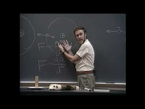 Conceptual Physics Alive: Electrostatics