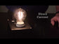 Electricity & Magnetism Light Bulb Demo